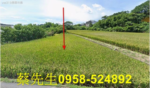 桃園法拍農地-8