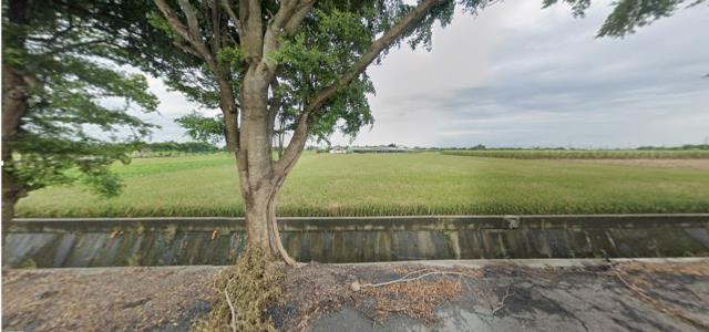 雲林東勢鄉法拍農地-7
