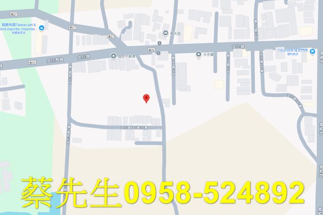 佳里農地法拍-7