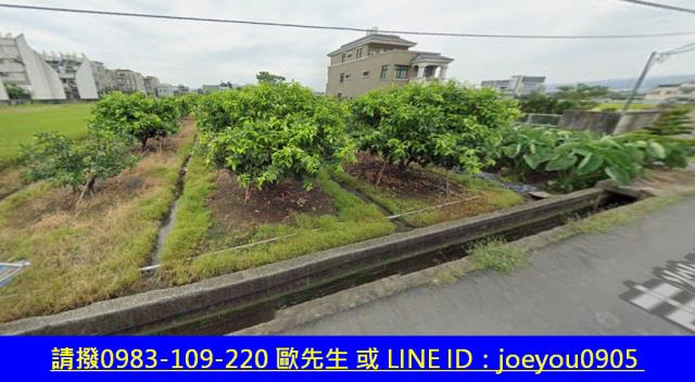 南投市農地拍賣-10