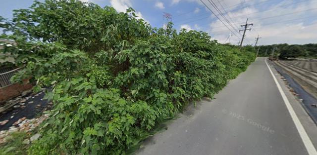 雲林崙背拍賣農地-11