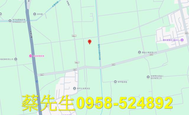 台南農地法拍-7