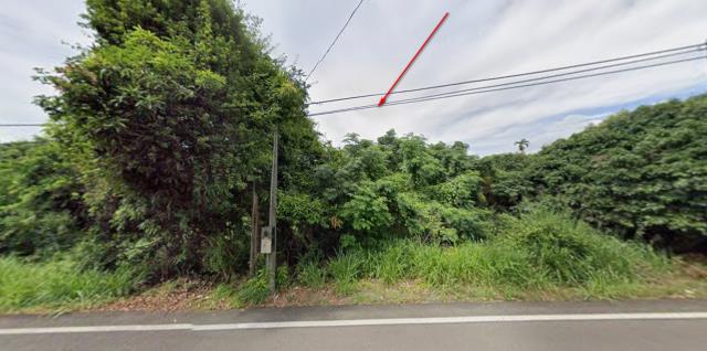 台中拍賣種菜地-0
