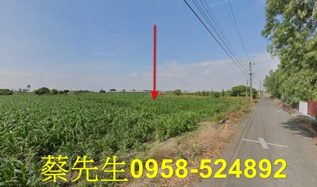台南新營法拍農地-14