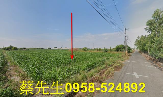 台南新營法拍農地-5