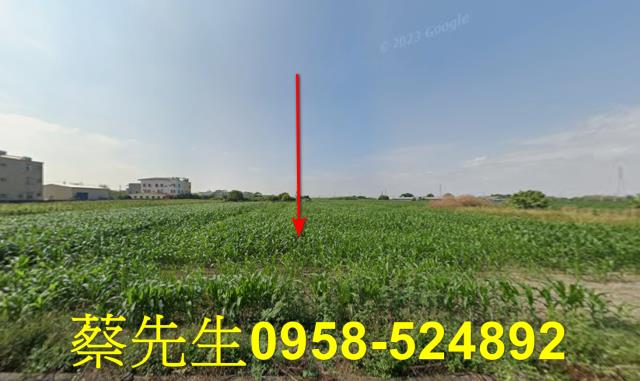 台南新營法拍農地-8