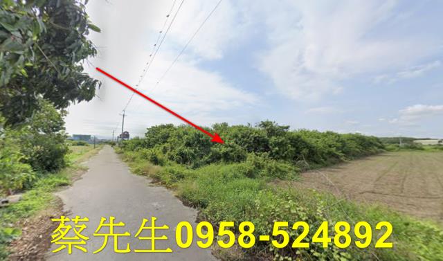 台南新營農地法拍-11