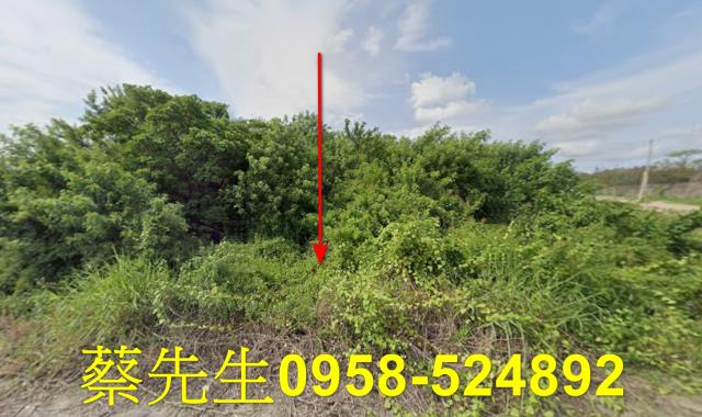 台南新營農地法拍-0