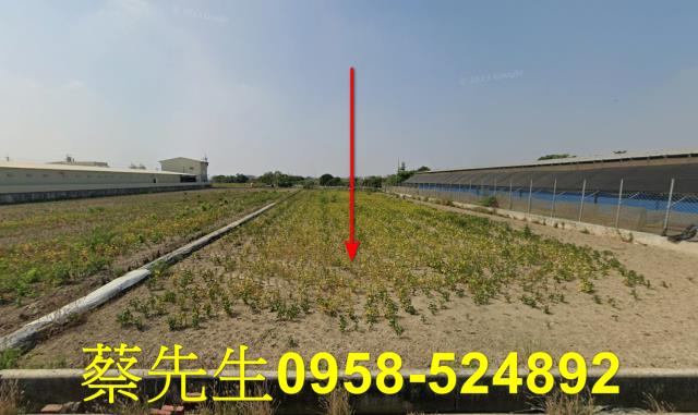 台南後壁法拍農地-0
