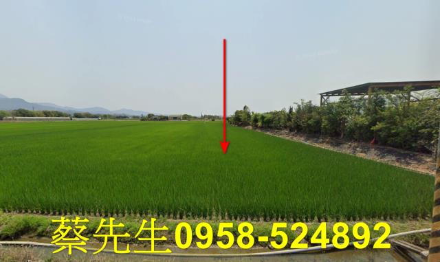 白河法拍農地-8