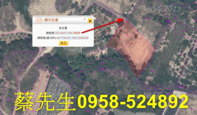 大內法拍農地-14