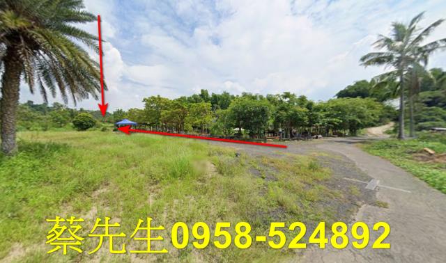 大內法拍農地-3