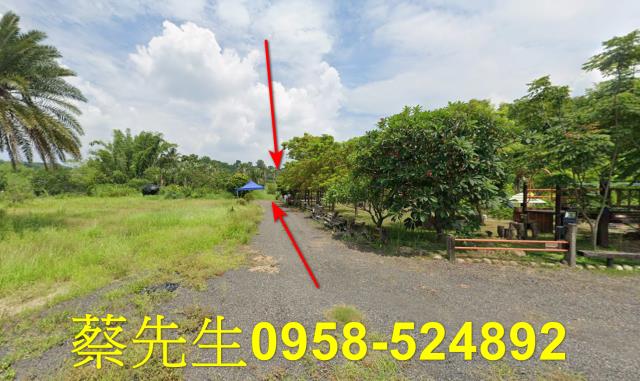 大內法拍農地-6