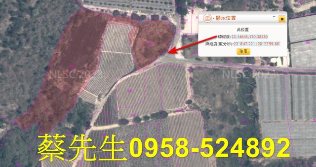 大內農地法拍-10