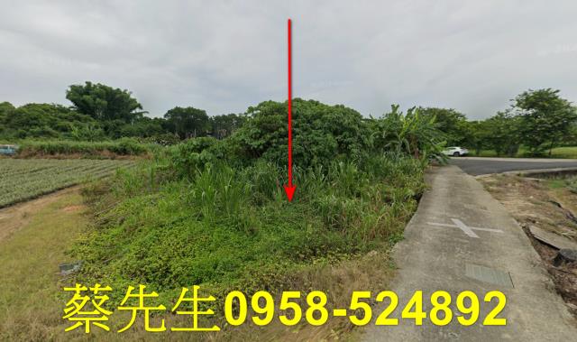 大內農地法拍-11