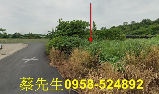 大內農地法拍-13