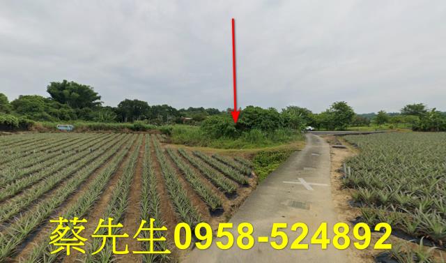 大內農地法拍-4