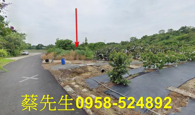 大內農地法拍-6