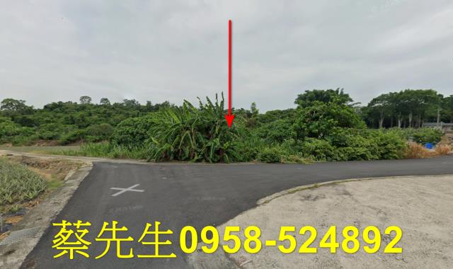 大內農地法拍-8
