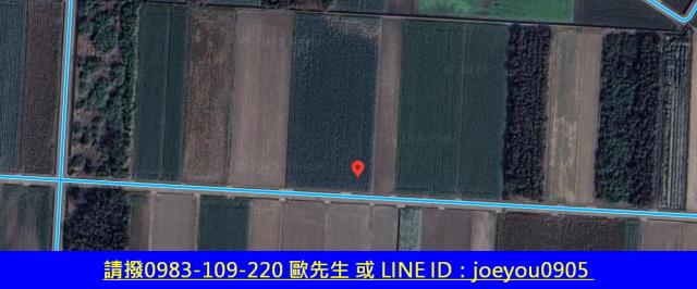 雲林法拍農地-14