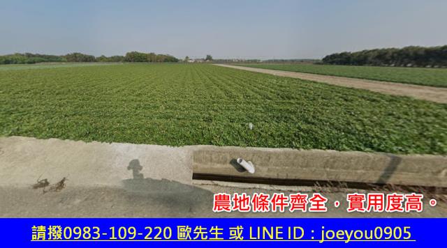 雲林法拍農地-2