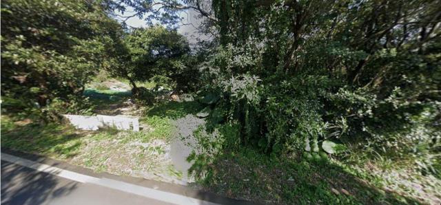 新北淡水農地法拍-3