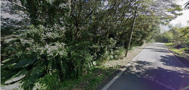 新北淡水農地法拍-4