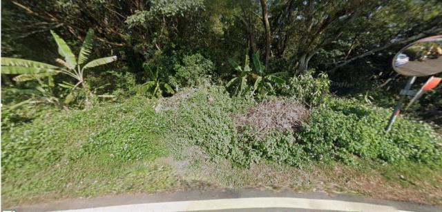 淡水法拍農地-0