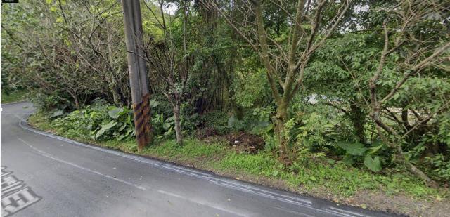 南港法拍梯田-0