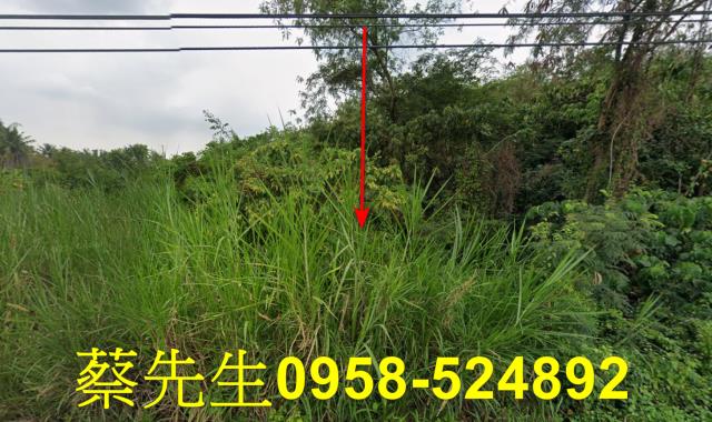 內門拍賣農地-11