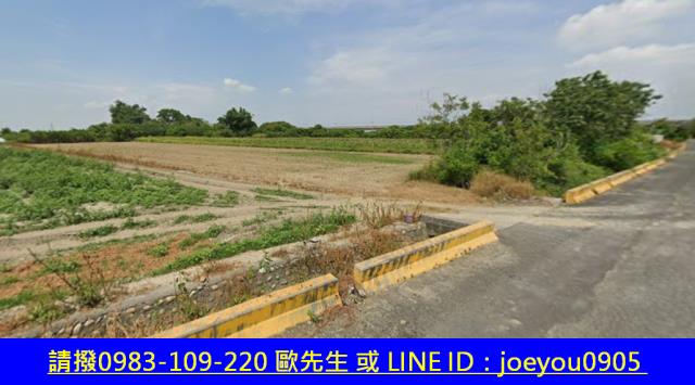 嘉義法拍農地-9