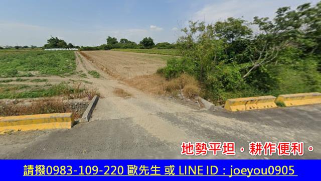 嘉義法拍農地-2