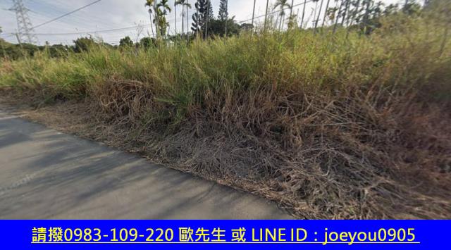 嘉義農地法拍-9