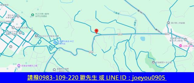 嘉義農地法拍-13