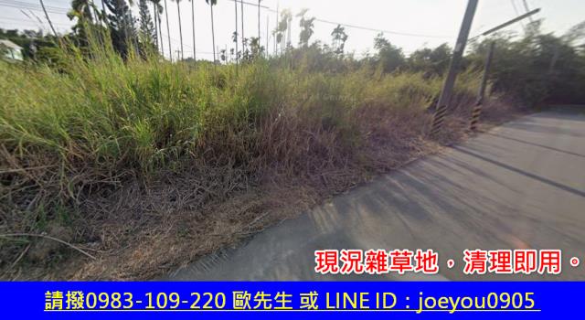 嘉義農地法拍-2