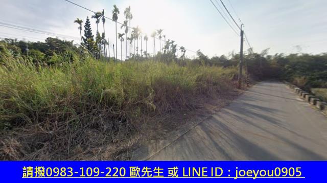 嘉義農地法拍-5