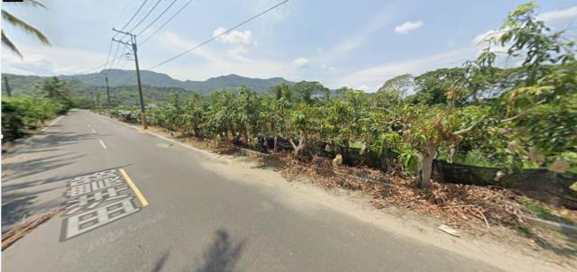 台南南化法拍農地-3