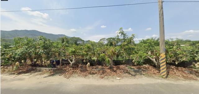 台南南化法拍農地-8