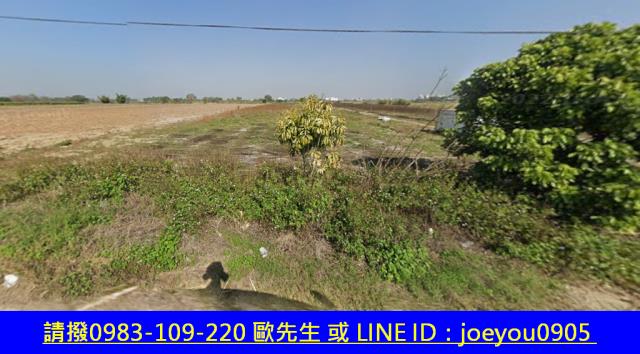 嘉義民雄農地法拍-3