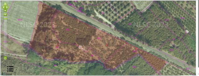 台南南化法拍農地-10