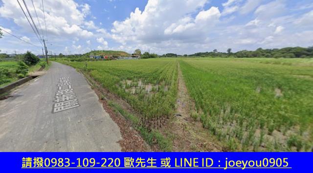 關廟法拍農地-5