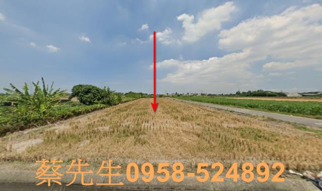 屏東萬丹農地法拍-11