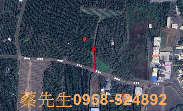 屏東潮州法拍農地-14