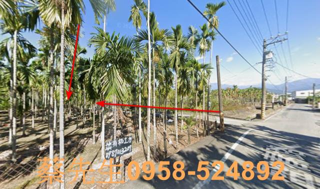 屏東潮州法拍農地-4