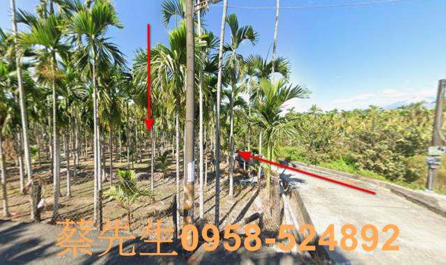 屏東潮州法拍農地-7