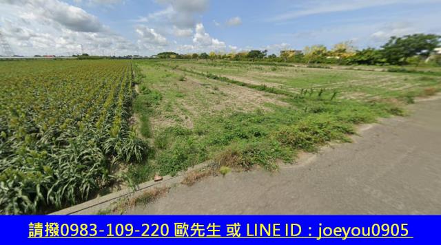 台南學甲法拍農地-9