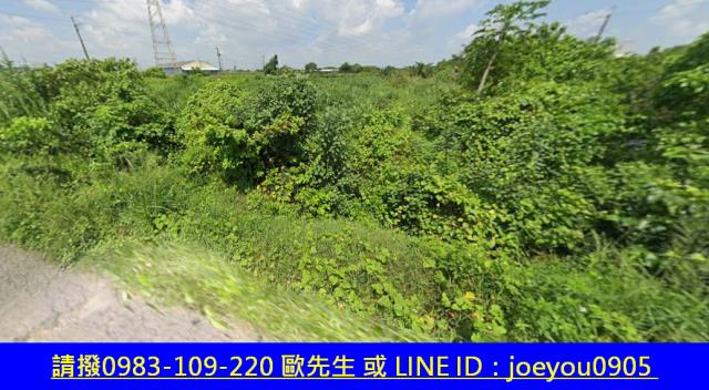柳營農地拍賣-10