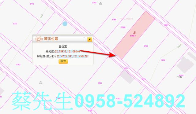 卑南農地拍賣-9