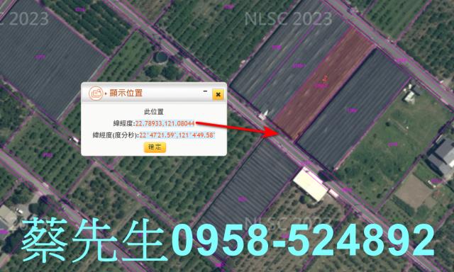 卑南農地拍賣-10