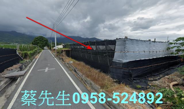 卑南農地拍賣-11